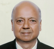 Hon'ble Mr. Mahavir Singhal