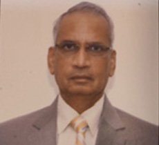 Hon'ble Mr. Mahavir Singhal