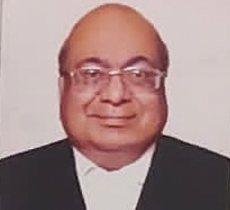 Hon'ble Mr. Mahavir Singhal