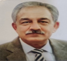Hon'ble Mr. Mahavir Singhal